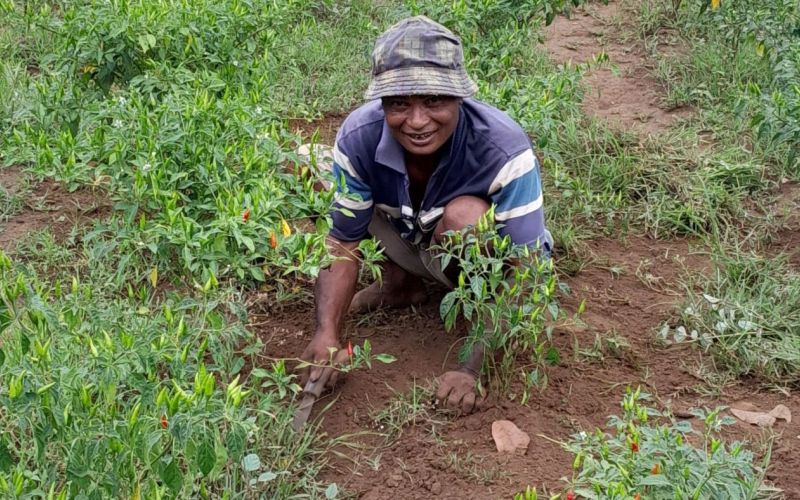 Lorensius sedang memebersihkan lahan miliknya. Foto: Dokumentasi Program BangKIT