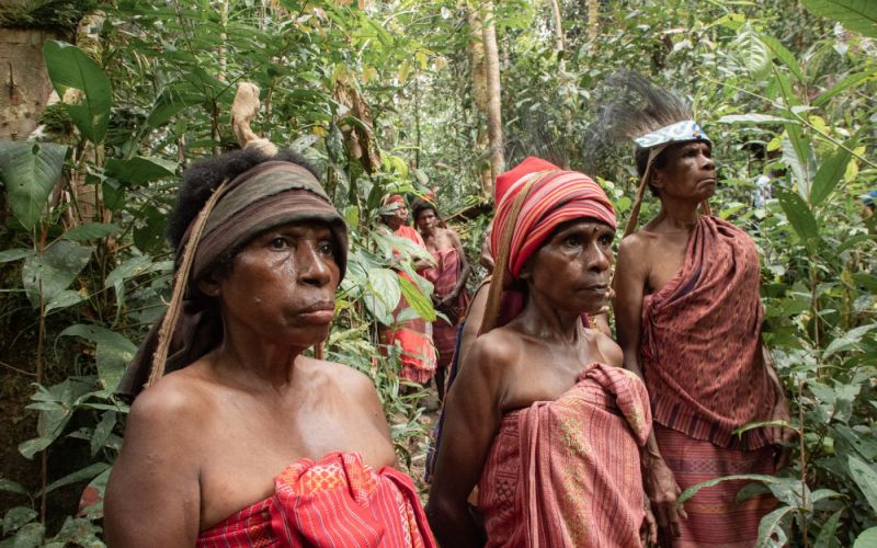 Warga Desa MangSir (Manggroholo-Sira) saat acara Forest Defender Camp (FDC) di hutan desa Manggroholo-Sira, Distrik Saifi, Kab. Sorong Selatan, 20 September 2023. FDC diselenggarakan oleh Greenpeace bersama komunitas pemuda adat Knasaimos, Sadir Wet Yifi dan Bentara Papua. Konsolidasi dan lokakarya penjaga hutan Papua ini diikuti ratusan pemudi/a adat mulai dari Sorong, Raja Ampat, Merauke hingga Jayapura. (Project M/Dwianto Wibowo)