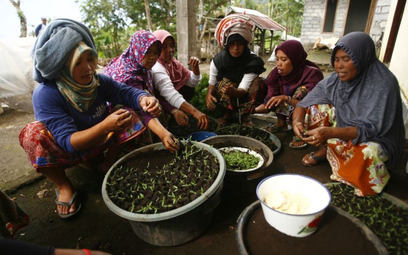 Dok.Yayasan BaKTI