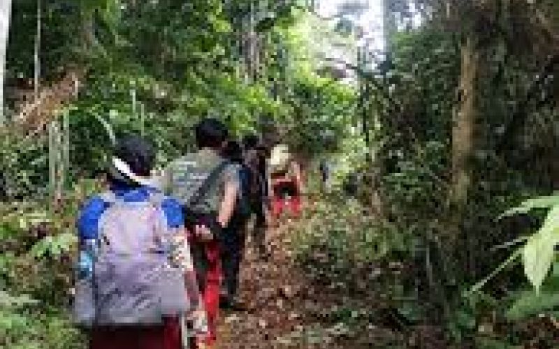 Kegiatan Patroli Hutan