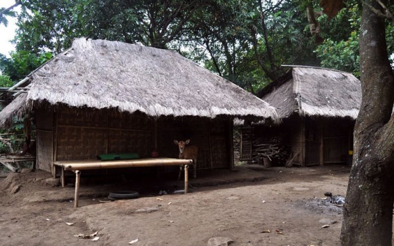 Rumah berbahan dasar bambu di desa Salut, Lombok Utara, NTB <br> FOTO/Wikicommon