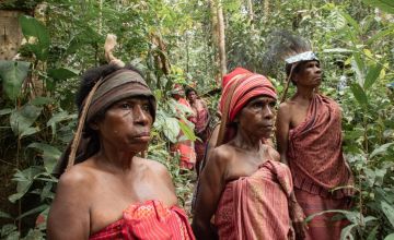 Warga Desa MangSir (Manggroholo-Sira) saat acara Forest Defender Camp (FDC) di hutan desa Manggroholo-Sira, Distrik Saifi, Kab. Sorong Selatan, 20 September 2023. FDC diselenggarakan oleh Greenpeace bersama komunitas pemuda adat Knasaimos, Sadir Wet Yifi dan Bentara Papua. Konsolidasi dan lokakarya penjaga hutan Papua ini diikuti ratusan pemudi/a adat mulai dari Sorong, Raja Ampat, Merauke hingga Jayapura. (Project M/Dwianto Wibowo)