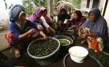 Dok.Yayasan BaKTI
