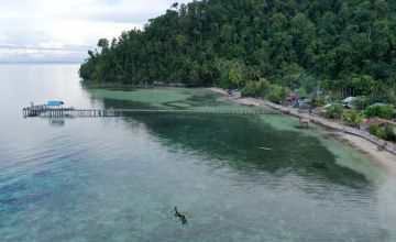 Foto: Kawasan pantai di Kampung Yensner, Teluk Mayalibit, Raja Ampat, Papua Barat. KOMPAS/FERGANATA INDRA RIATMOKO 