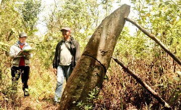 Situs Hatu Lila atau Batu Lidah di perkebunan kakao. <br> Foto: Eko Rusdianto/Historia